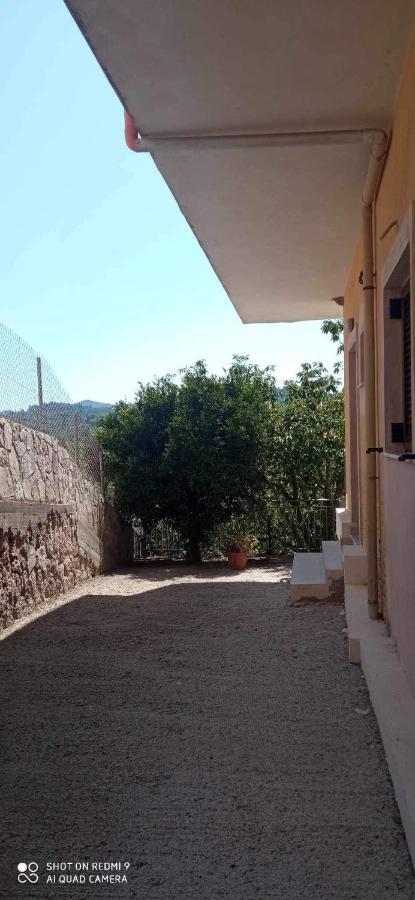 Apartament Elena's
